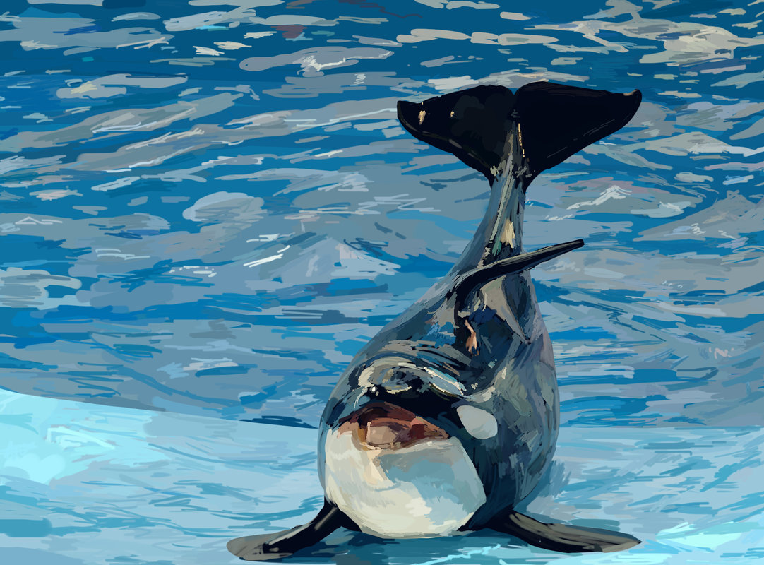 シャチの模写